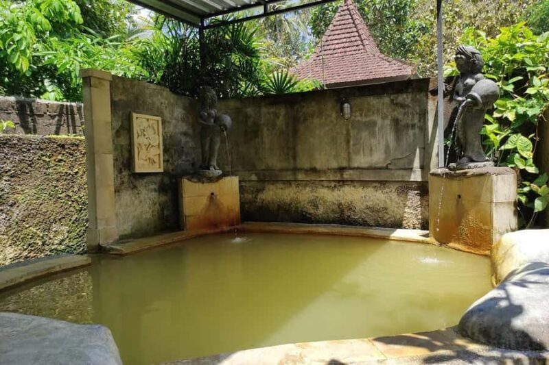 North Bali Grand Tour with Local Guide - Frequently Asked Questions