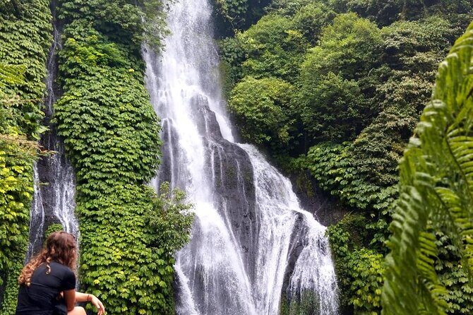 North Bali Hidden Gems Tour Ulun Danu Temple Twin Lakes Waterfall - What to Expect from the Itinerary