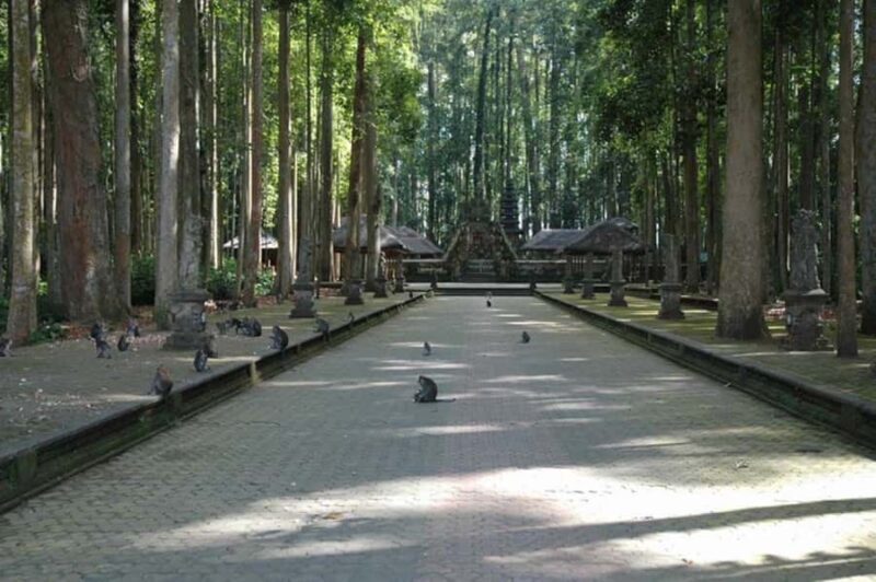 North Bali: Monkey Forest -Waterfall- Rice Terrace-Ulun Danu - Good To Know