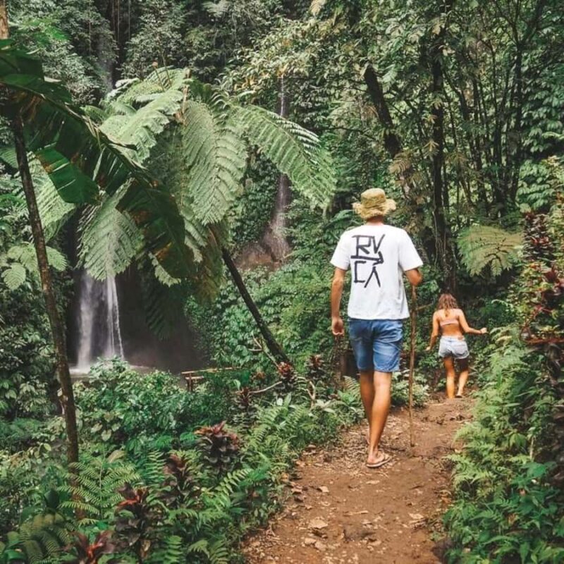 North Bali: Monkey Forest -Waterfall- Rice Terrace-Ulun Danu - Why This Tour Is Worth Considering