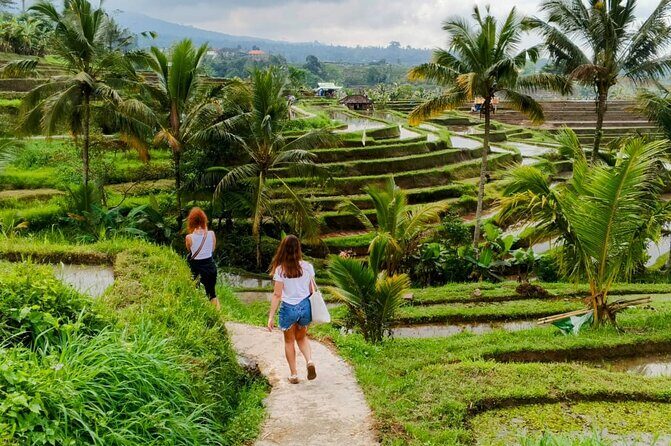 North Bali Nature and Heritage Private Tour - Authentic Experiences and Practical Tips