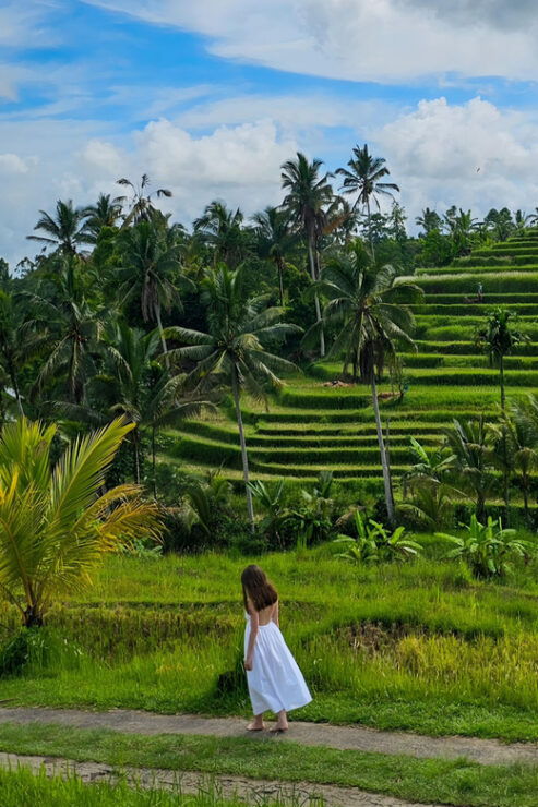 North Bali Nature Explore - Detailed Itinerary