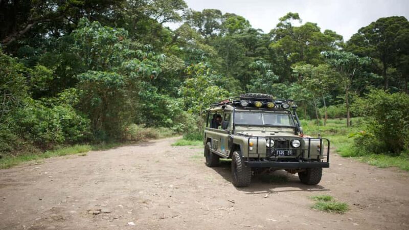 North Bali: Private Guided 4x4 Jeep, Cycling & Hot Spring - Good To Know