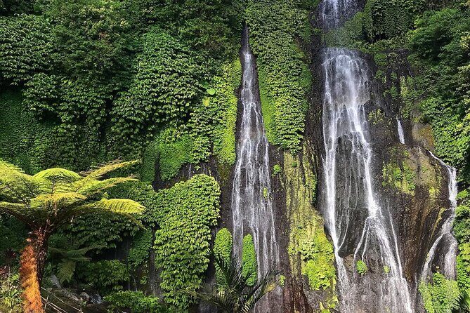 North Bali Private Trip UNESCO Site Lakes Temple and Waterfall - Authentic Insights from Reviewers