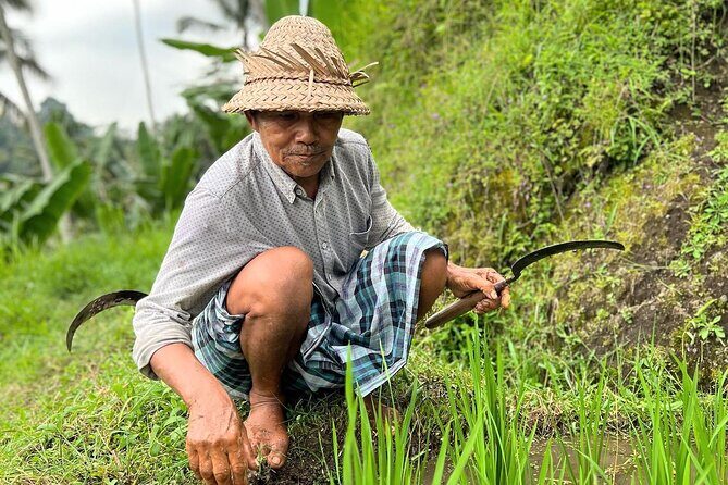 North Bali Private Trip UNESCO Site Lakes Temple and Waterfall - Who Should Consider This Tour?