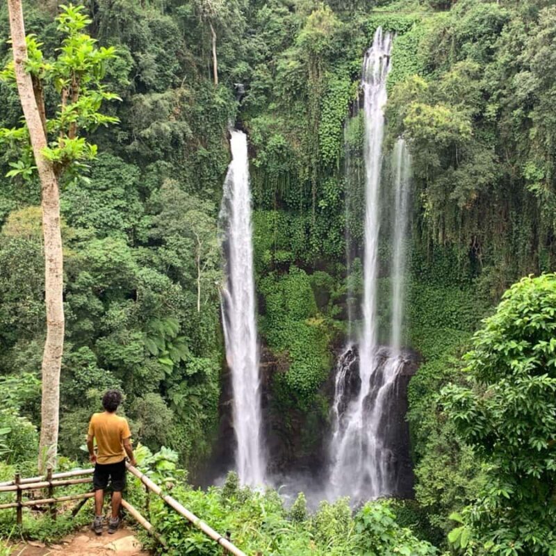 North Bali: Sekumpul and Banyumala Waterfalls & Rice Terrace - Introduction: What Makes This Tour Stand Out