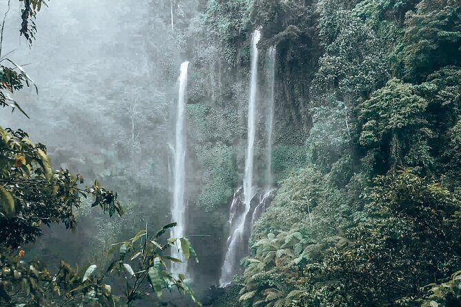 North Bali Sekumpul and Banyumala Waterfalls with Rice Terraces - Value for Money and Overall Impression
