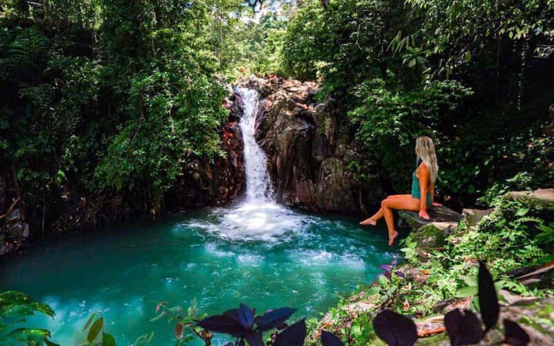 North Bali: Sunrise Dolphin Tour for Nature Lover & Explorer - Who Will Love This Experience?