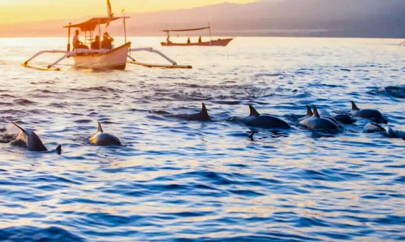 North Bali: Sunrise Dolphin Tour for Nature Lover & Explorer - Exploring the Itinerary in Detail