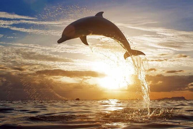 North Bali Sunrise Tour With Dolphins, Instagram Wanagiri & Waterfalls - Tour Overview
