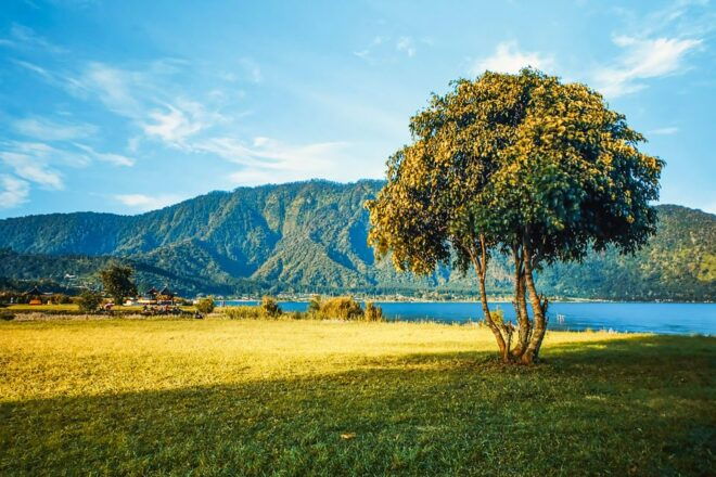 North Bali: Sunrise Tour With Dolphins, Waterfalls & Temples - Review Summary