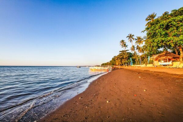 North Bali: Sunrise Tour With Dolphins, Waterfalls & Temples - The Sum Up