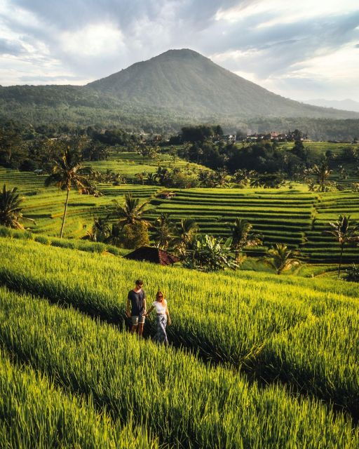 North Bali: Tanah Lot, Jatiluwih Terrace, Ulun Danu Beratan - Tour Highlights