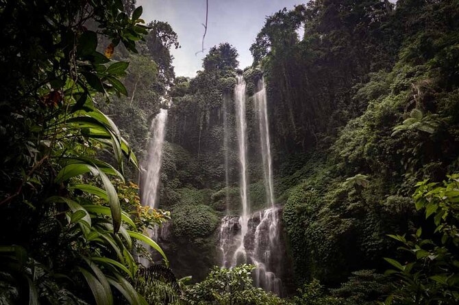 North Bali Tour: Sekumpul Waterfall Hiking & Wanagiri Hidden Hill - Itinerary Details
