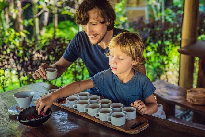 North Bali Tour with Twin Waterfalls and Temple - Summary of the Experience’s Value