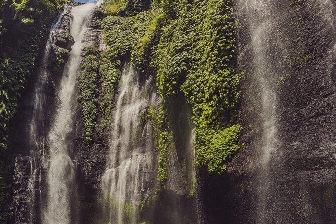 North Bali Tour with Twin Waterfalls and Temple - Who Is This Tour Best For?  