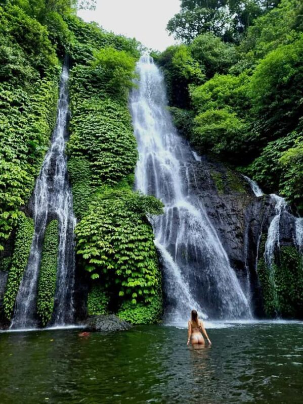 North Bali Trip with 2 Hidden Waterfalls Private Tour - Introduction