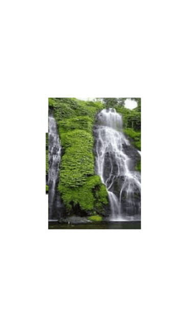 North Bali: Walking on the expanse of jati luwih rice fields - FAQs