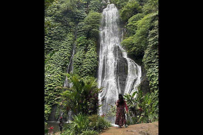 North Bali Waterfall Enthusiast Private Tour - Final Thoughts