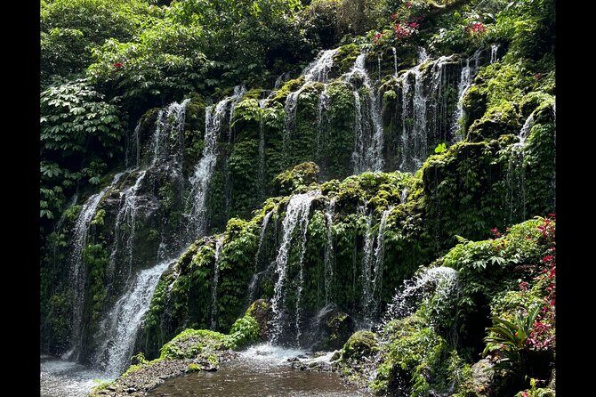 North Bali Waterfall Enthusiast Private Tour - FAQ