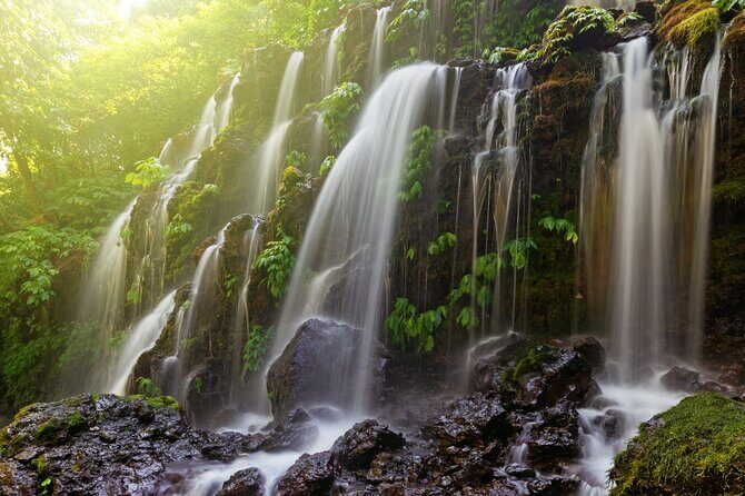 North Bali Waterfall Enthusiast Private Tour - Final Thoughts: Who Should Consider This Tour?
