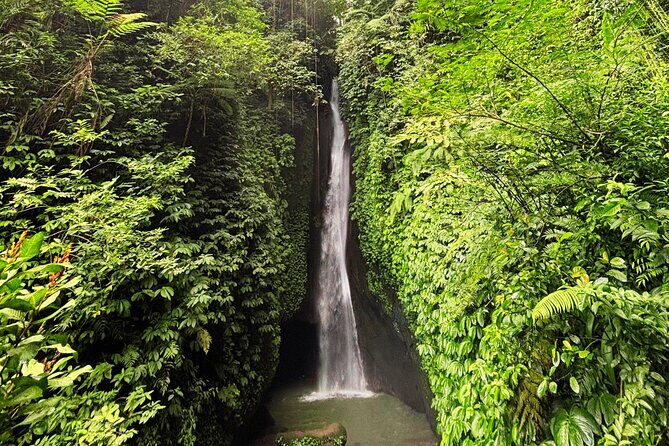 North Bali Waterfall Enthusiast Private Tour - Final The Sum Up