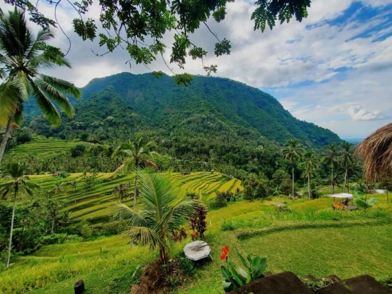 North Bali Waterfalls and Twin Lakes view Tour - FAQ
