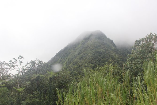 North Caribbean Tour in Martinique - Tour Highlights