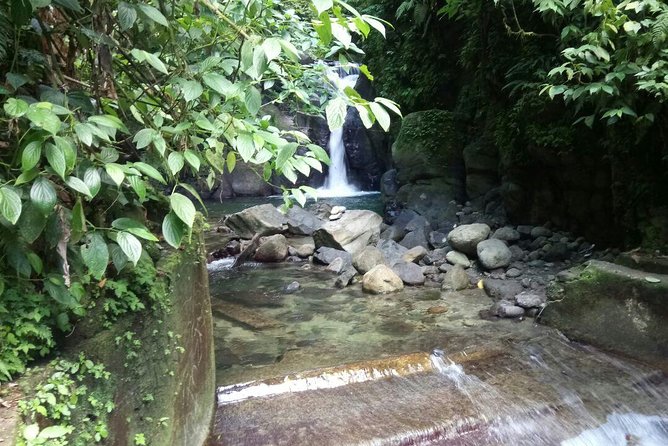 North Caribbean Tour in Martinique - Pickup and Drop-off Details