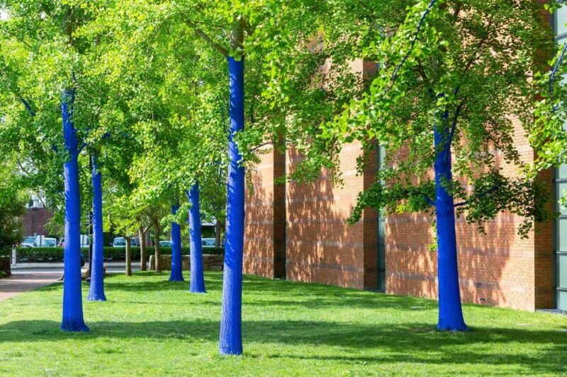 North Chelmsford: The Salem Witch Museum & Memorial Tour - A Deep Dive into the Salem Witch Museum & Memorial Tour