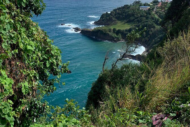 North Coast Dominica Sightseeing Day Tour - Exploring the Itinerary: What to Expect