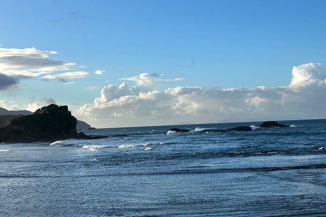 North Coast Dominica Sightseeing Day Tour - The Sum Up