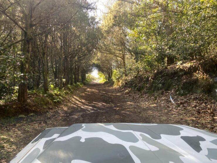 North-East Madeira Jeep Safari Tour for the Nature Lovers - Good To Know