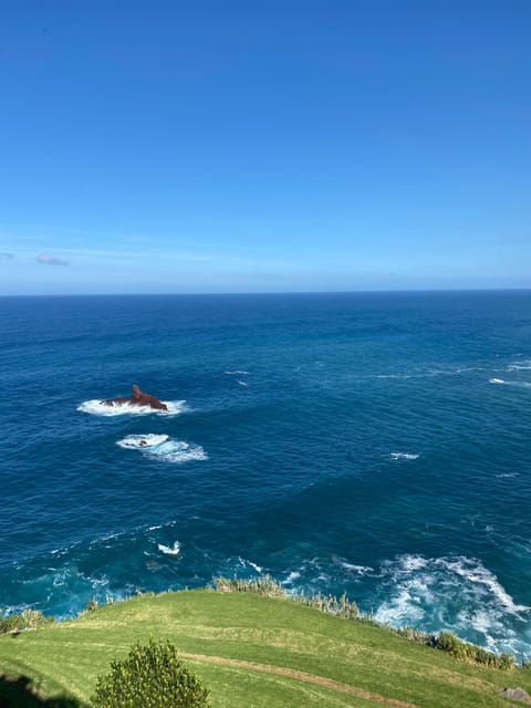 North-East Madeira Jeep Safari Tour for the Nature Lovers - Important Information