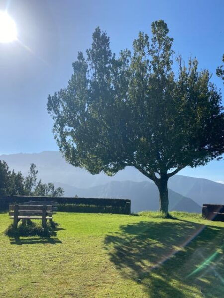 North-East Madeira Jeep Safari Tour for the Nature Lovers - Pickup and Drop-off Locations