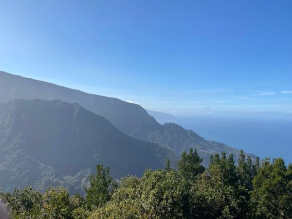 North-East Madeira Jeep Safari Tour for the Nature Lovers - Local Flora and History