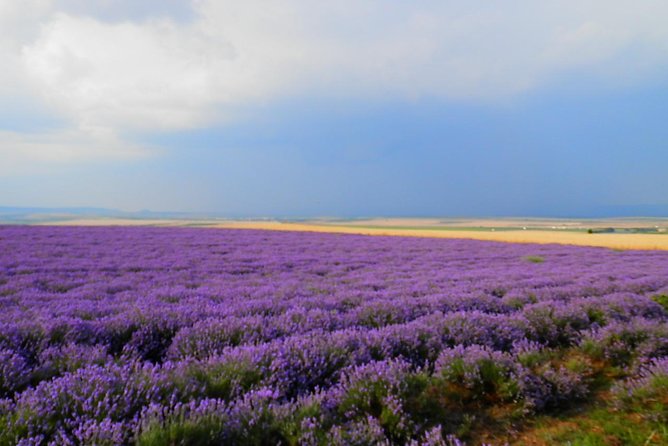 North-Eastern Bulgaria at a Glance - Ivanovo, Shumen & Madara From Bucharest - Itinerary Overview