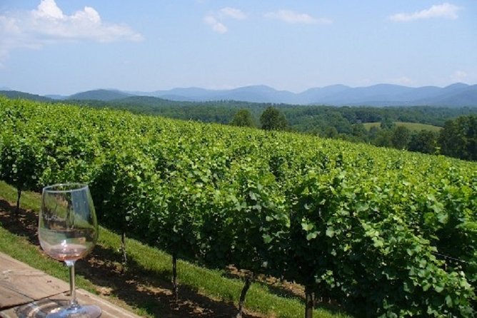 North Georgia Wine Country Tour From Atlanta - Tour Details and Pricing