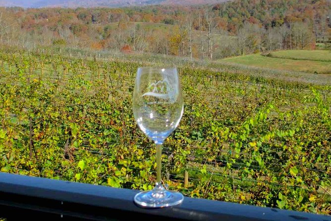 North Georgia Wine Country Tour From Atlanta - Customer Reviews and Feedback