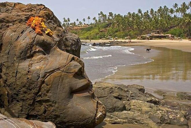 North Goa: Private Day Tour - Customer Reviews