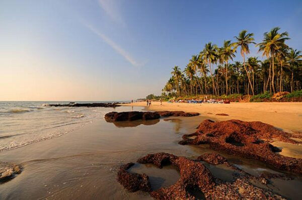 North Goa: Private Day Tour - Highlights