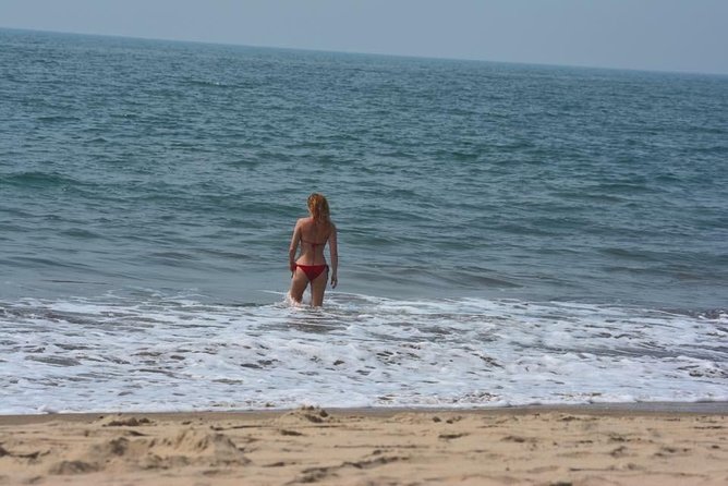 North Goa Sightseeing SIC - Cost and Inclusions