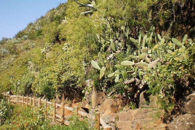 North Gran Canaria Highlights Full-Day Tour From Las Palmas - The Sum Up