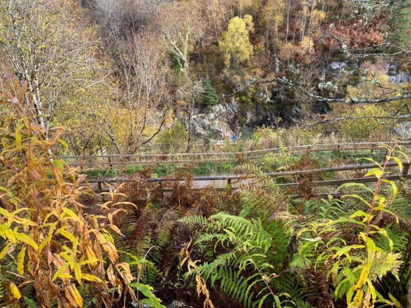 NORTH HIGHLAND TOUR, DUNROBIN CASTLE & MORE FROM INVERGORDON - What We Loved