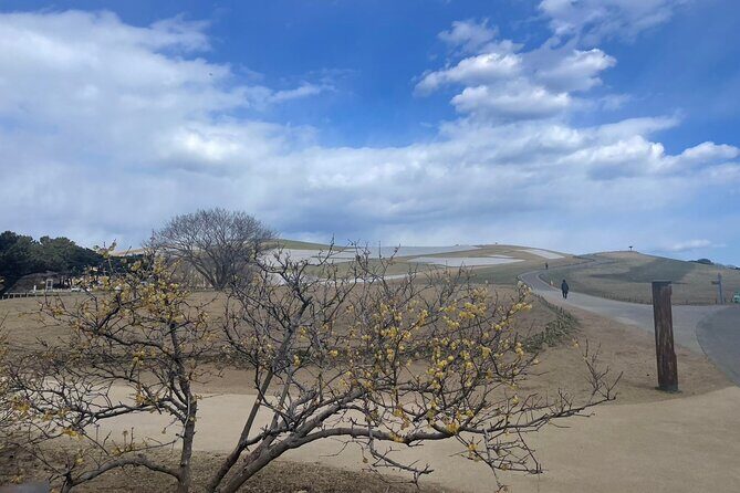 North Ibaraki Tour - Frequently Asked Questions