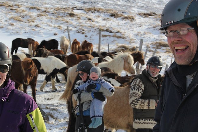 North Iceland: Horseback Riding Tour  - Akureyri - How to Book