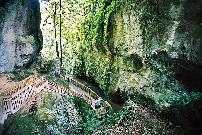 North Island Four-Day Highlights Tour From Auckland - Common Questions