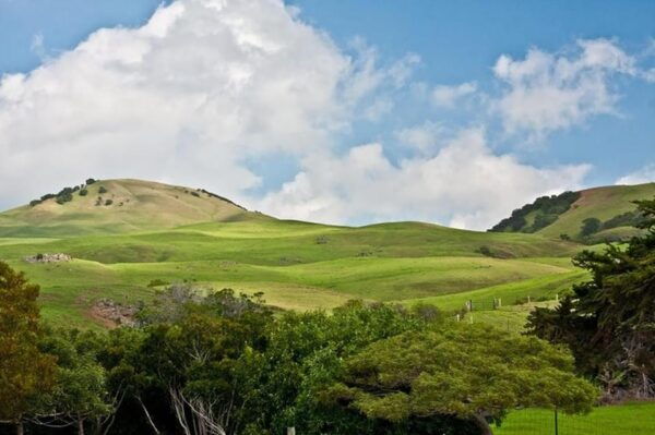 North Island Jungle Loop in Big Island: Audio Tour Guide - Explore at Your Own Pace