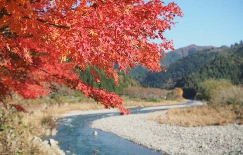 North Kyoto: Miyama Winter Lanterns Festival & Ine Day Tour - The Sum Up