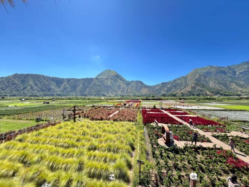 North Lombok: Explore Sendang Gile, Tiu Kelep & Selong Hill - The Beautiful Sembalun Valley and Selong Hill